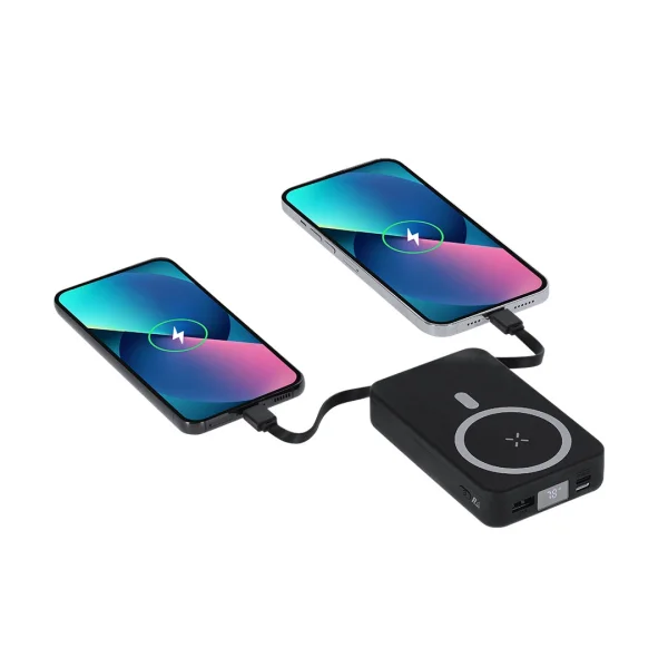 Immagine Power Bank Granzax