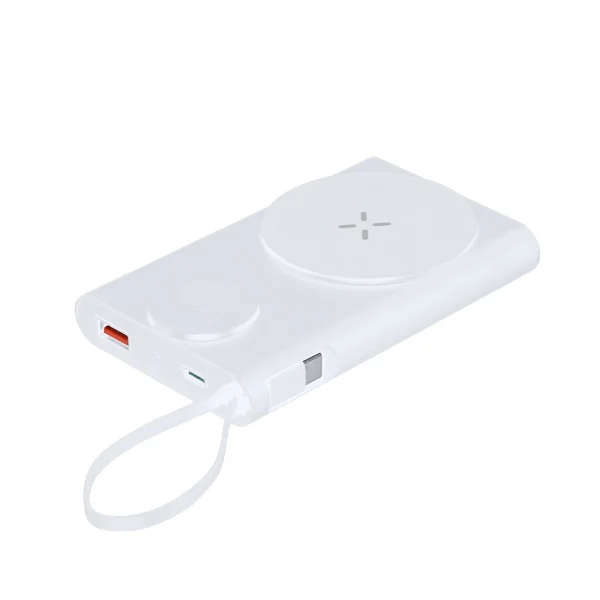 Immagine Power Bank Barian