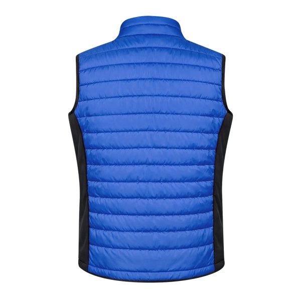 Immagine Gilet Toret