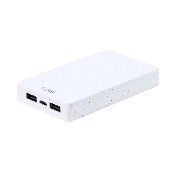 Immagine Power Bank Noiman