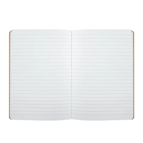 Immagine Notes a righe