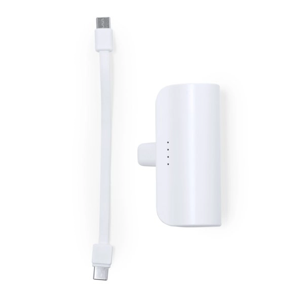 Immagine Power Bank Laford