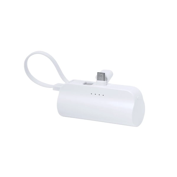 Immagine Power Bank Laford