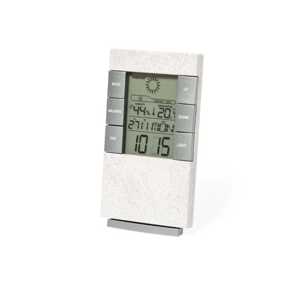 Immagine Stazione Meteorologica Maginly