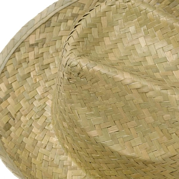 Immagine Sombrero Leone
