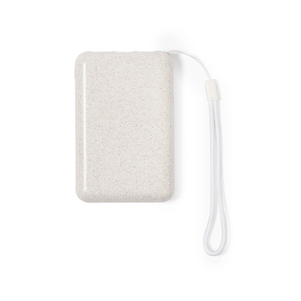 Immagine Power Bank Dawson