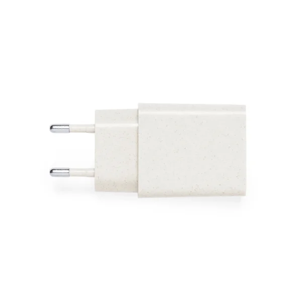 Immagine Caricatore USB Avery