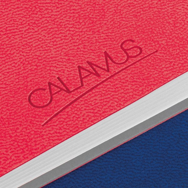 Immagine Notes infinity