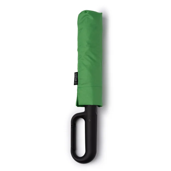 Immagine prodotto Verde felce