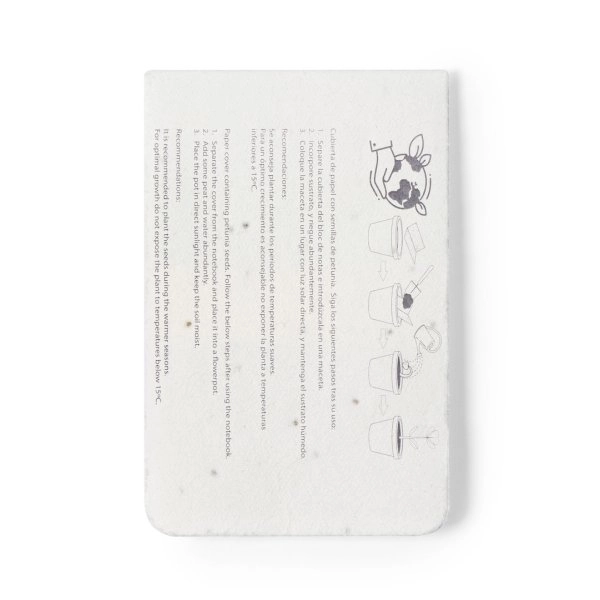 Immagine Bloc-Notes con Semi Amenti