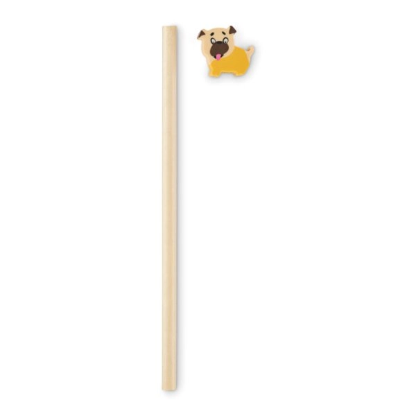 Immagine CIRCO