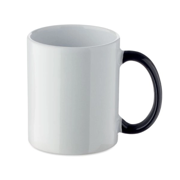 Immagine FESTIMUG