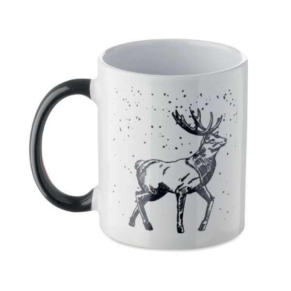 Immagine FESTIMUG
