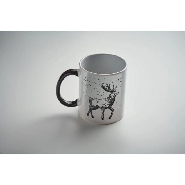 Immagine FESTIMUG