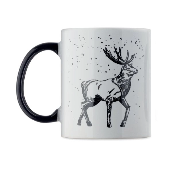 Immagine FESTIMUG