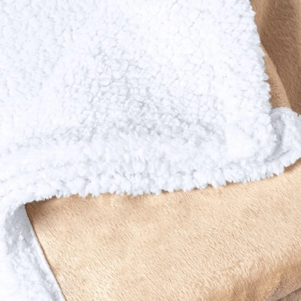 Immagine Coperta Haltebes