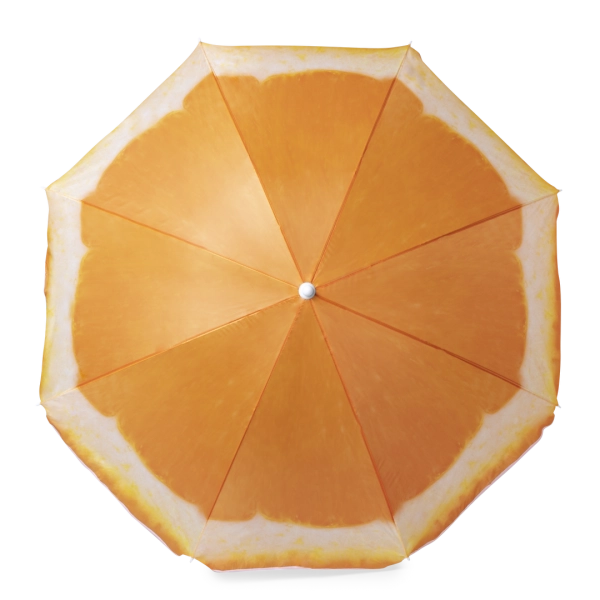 4894/605468c0-f09d-4d2e-8047-881478a158c1.webp