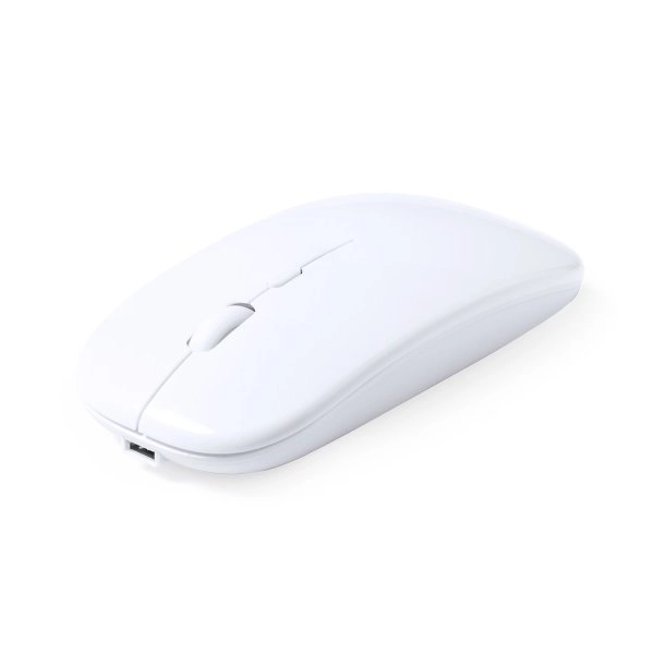 Immagine Mouse Chestir RCS