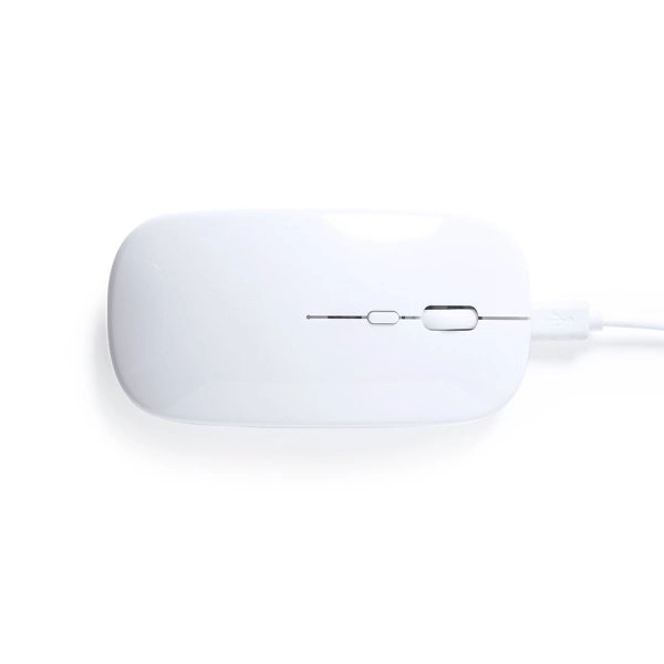 Immagine Mouse Chestir RCS