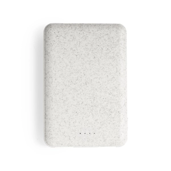 Immagine Power Bank Shiden