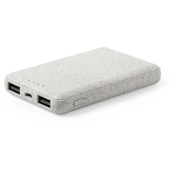 Immagine Power Bank Shiden