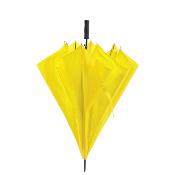 5631/92531d28-0691-45f5-b91e-bbe65c72e016.webp
