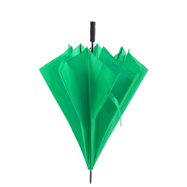 5631/d33d5fa6-2842-4340-ad37-460c1c806673.webp