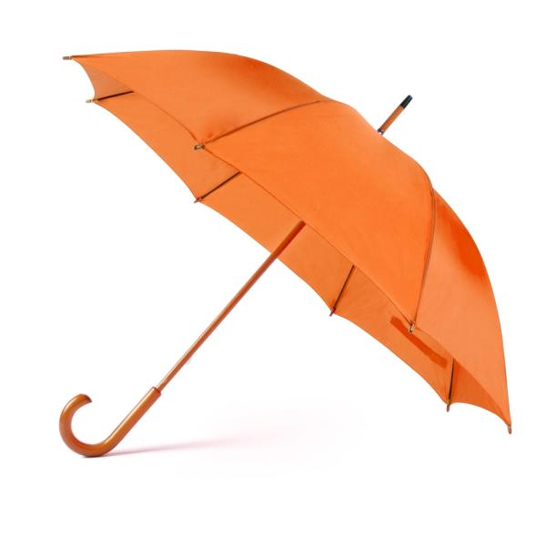 6036/52cd24c6-5908-4866-89e9-c84e416ebab8.webp