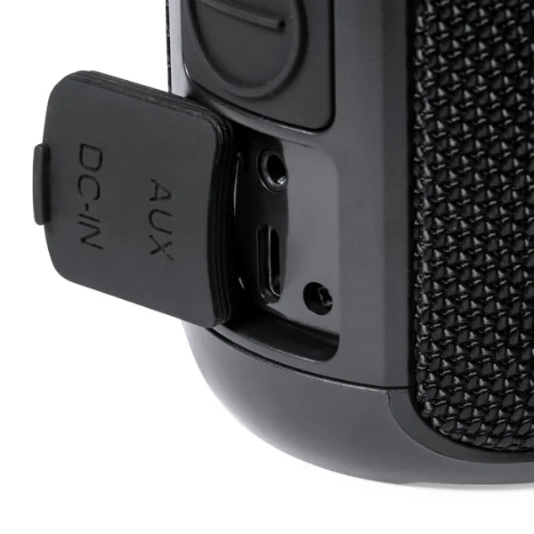 Immagine TWS SPEAKER