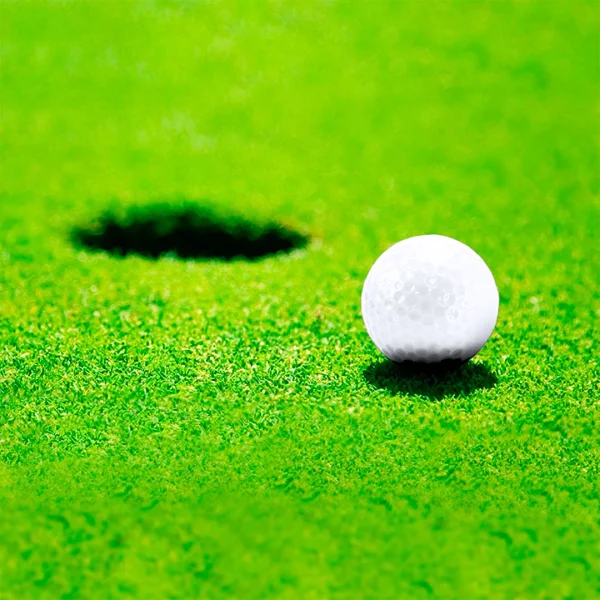 Immagine Palla da Golf Nessa