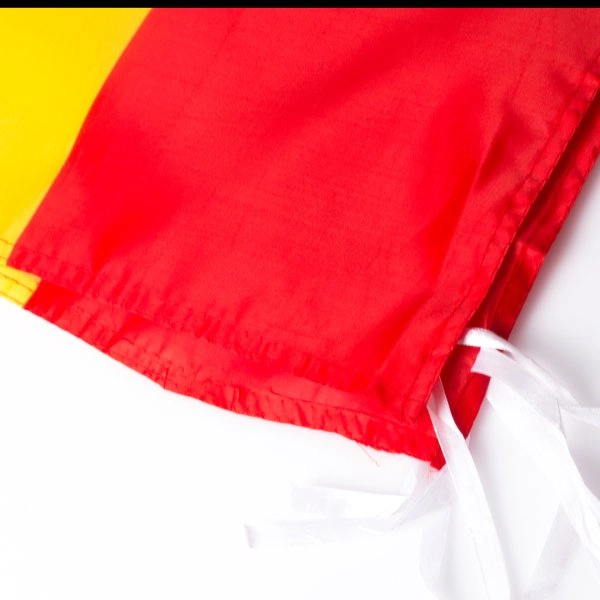 Immagine Bandiera Caser