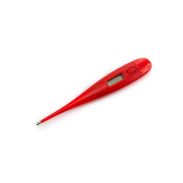 Immagine Termometro Digitale Kelvin