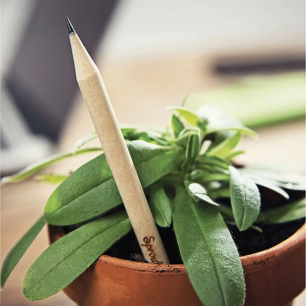 Immagine POMODORO