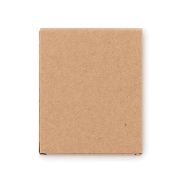 Immagine LITTLE VANGOGH