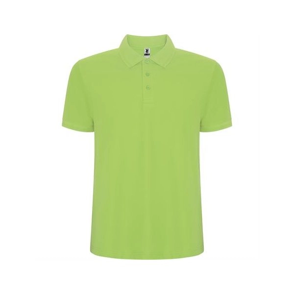 Immagine R6609 Roly PEGASO