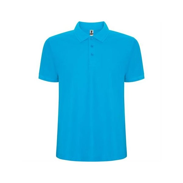 Immagine R6609 Roly PEGASO