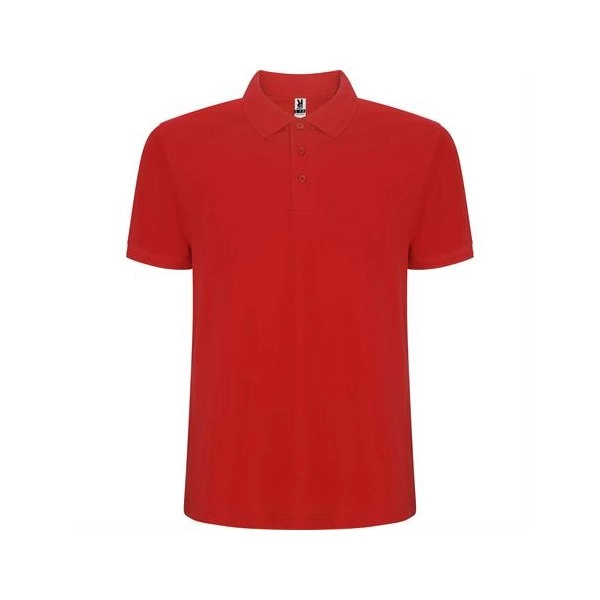 Immagine R6609 Roly PEGASO